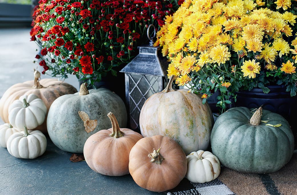 Curb Appeal on a Budget