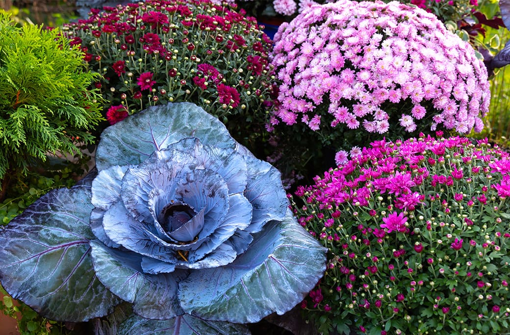 Smart Landscaping Ideas to Boost Fall Curb Appeal