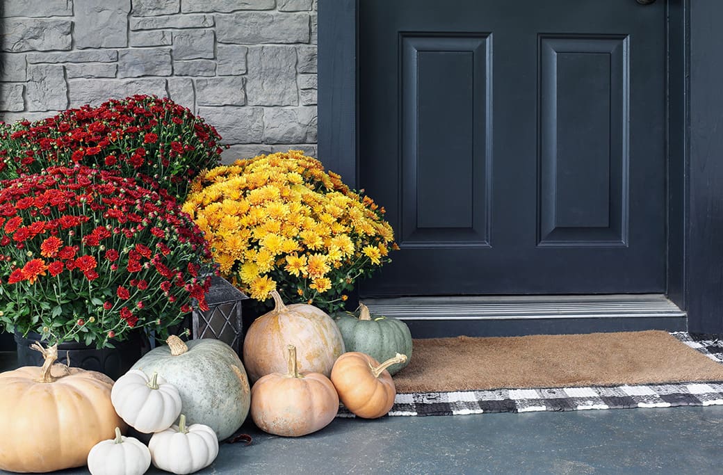 Fall Curb Appeal