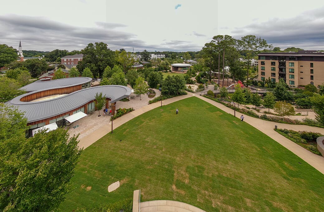 Expertise Across the Triangle