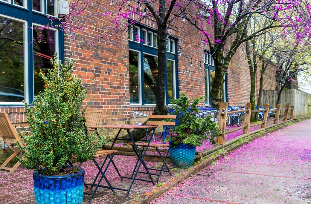 Advantages of Living in Carrboro