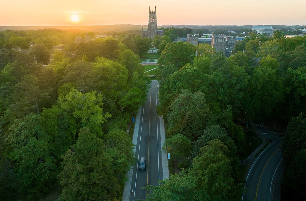 Duke Forest