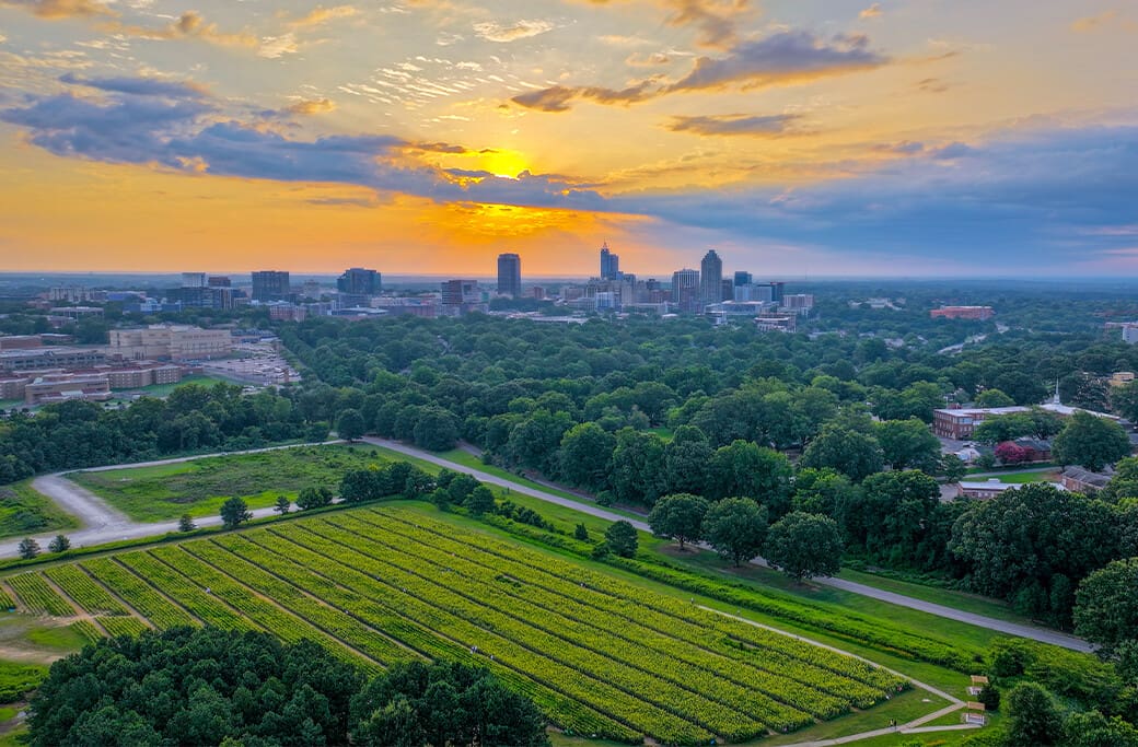 Cost of Living in Raleigh, NC: What Homebuyers Need to Know