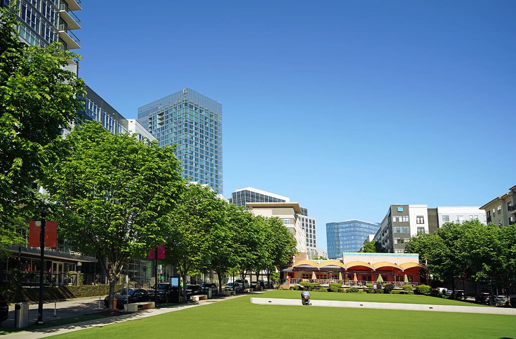 North Hills Neighborhood Overview